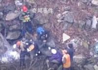 日本一棕熊尸體內發現人體殘骸 驗尸后確認為登山死亡的大學生