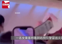 泰國客機高空噴火 空姐為乘客扇風