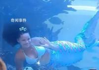 南非美人魚表演時(shí)尾部被卡住 還好最后成功脫掉演出服游走成功脫困