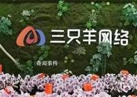 三只羊網絡CEO回應上市傳聞 不是在為將來上市做準備