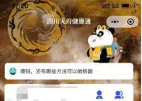 呼吸道傳染高發(fā)期 “綠碼”重現(xiàn)?