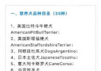 羅威納犬被成都納入禁養犬名單 該規定自2024年1月1日起施行
