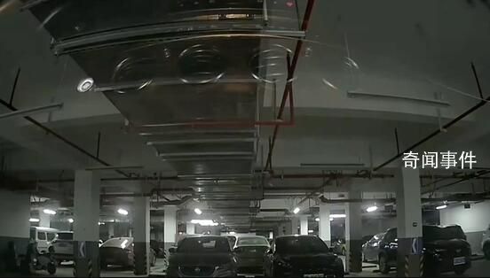 情侶深夜變雌雄大盜 得手后激動告白