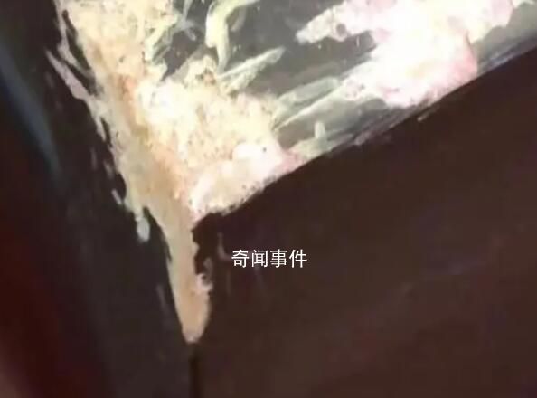 房東出租僅兩月的房子被“扒皮” 窗臺(tái)上滿是狗屎用餐巾紙包著