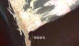 房東出租僅兩月的房子被“扒皮” 窗臺上滿是狗屎用餐巾紙包著