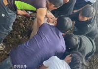 云南部分鄉鎮倡議不搞“殺豬飯” 引發網友熱烈討論