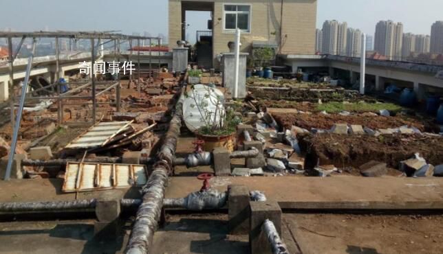 長沙老人把小區樓頂“開墾”成菜園
