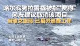 哈爾濱回應(yīng)網(wǎng)友建議取消狗拉爬犁 引起許多網(wǎng)友關(guān)注
