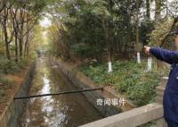 為了救小狗大學放干了護校河的水 引熱議