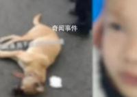 8歲男童遭狗撲咬 臉上縫了90多針