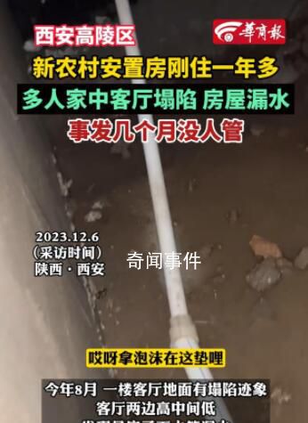 被狗咬傷男童家屬仍在找狗主人 工作人員稱此事還在核實當中