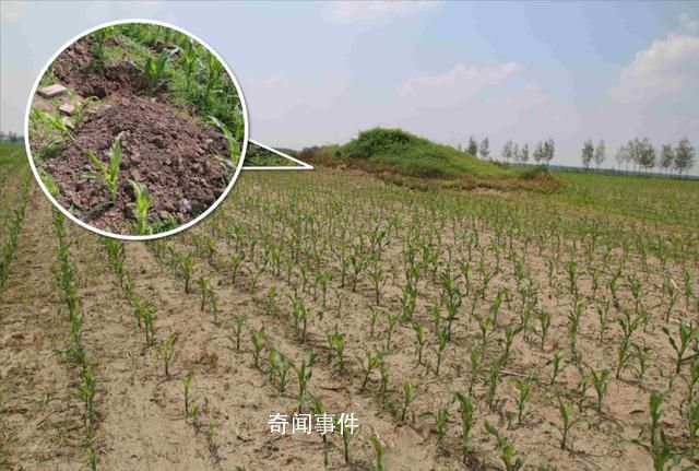 2男子自學(xué)“盜墓技能”挖10座古墓