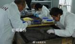 重慶出土600余件珍貴文物