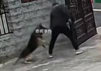 知情人回應狗主人鎖狗被瘋狂攻擊
