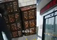 遺失橘子貨主不認可官方通報
