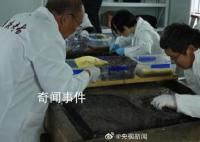 重慶出土600余件珍貴文物