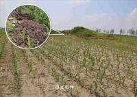 2男子自學“盜墓技能”挖10座古墓