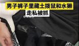 男子褲子里藏動物走私被抓