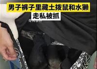 男子褲子里藏動物走私被抓