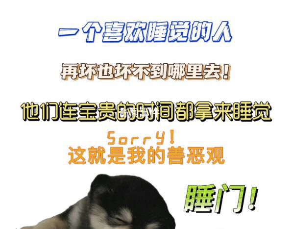 2023十大網絡流行語公布 2023年十大網絡流行語榜單