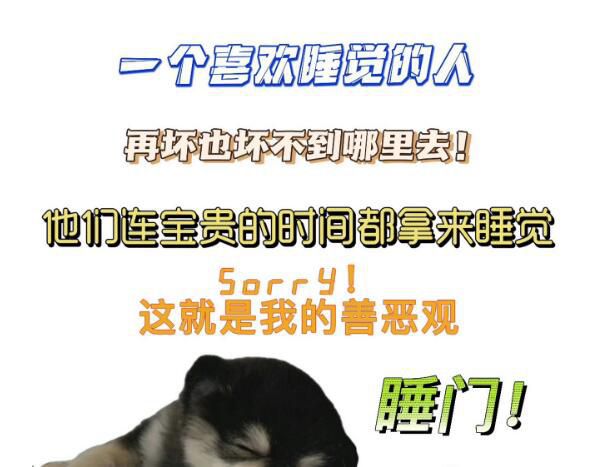 2023潮流熱點 本年度十大網絡流行語榜單的誕生