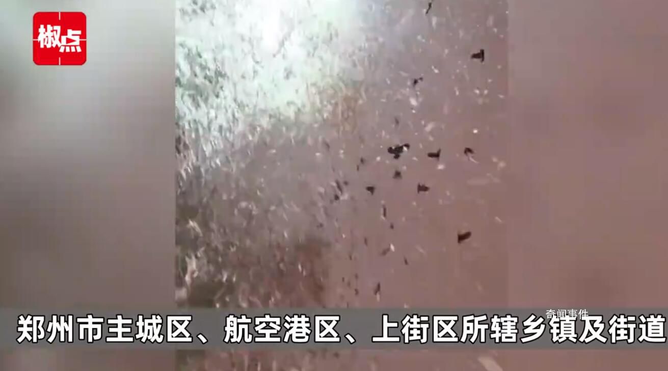 沉浸式體驗(yàn)鄭州暴雪 最大降雪量21.5毫米全省降雪量前三都在鄭州