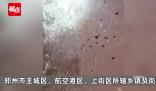 沉浸式體驗(yàn)鄭州暴雪 最大降雪量21.5毫米全省降雪量前三都在鄭州