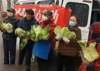 河南一地疑讓老人寒風中捧白菜擺拍