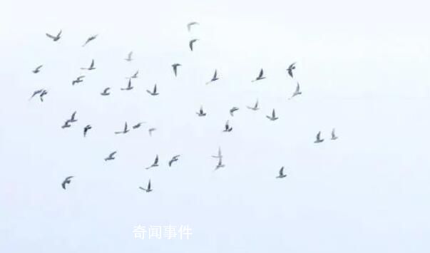 全網(wǎng)等待的故宮初雪圖來(lái)了