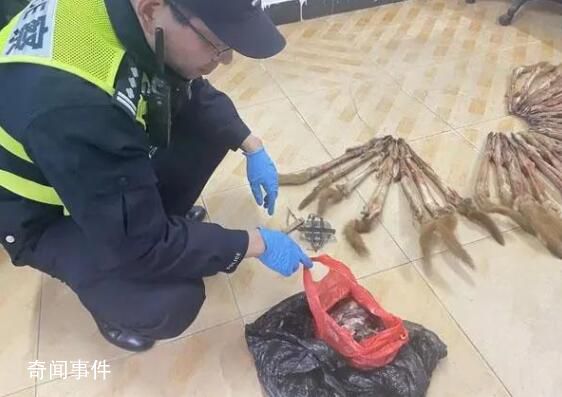 上海男子捕食33只黃鼠狼 被警方抓獲