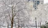 積雪可達15厘米 暴雪寒潮已近在眼前
