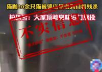 貓咖20只貓餓到互相殘殺?店主回應