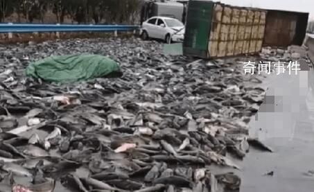 貨車雨雪天側翻魚灑落一地