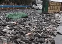 貨車雨雪天側翻魚灑落一地