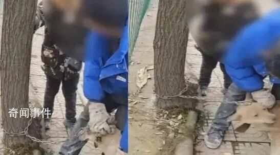 男孩哭著阻攔父親賣狗被罵滾一邊
