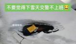 石家莊雪中罰單引熱議 交警回應