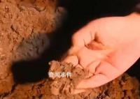 “砂涌現(xiàn)象”與余震無直接關(guān)系
