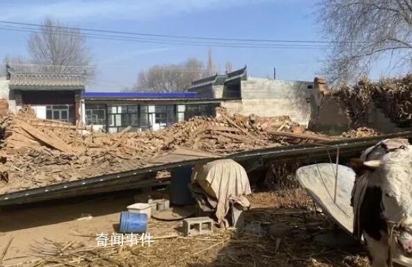 老人為了救孫子地震中遇難 未能看到父親最后一眼