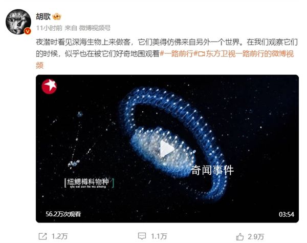 胡歌南海深潛撿回兩塊電池 親眼見證屬于海洋的垂直遷徙現象