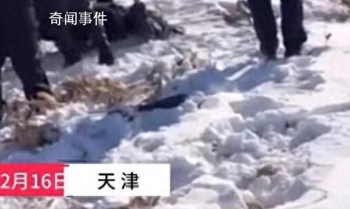 男子冬釣失聯(lián) 遺體在冰縫中被發(fā)現(xiàn)