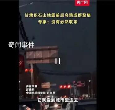 甘肅地震前后烏鴉成群?專家解讀