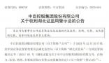 中百集團及多名高管被警示
