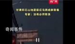 甘肅地震前后烏鴉成群?專家解讀