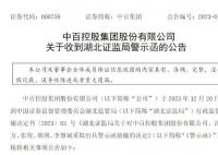 中百集團及多名高管被警示
