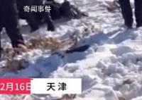 男子冬釣失聯(lián) 遺體在冰縫中被發(fā)現(xiàn)