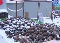 東北的室外果然是天然大冰箱