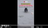女生考完4級遇暴雪手腳并用爬回寢室
