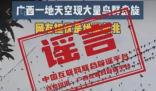 鳥(niǎo)群盤旋是地震前兆?多地辟謠