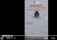 女生考完4級遇暴雪手腳并用爬回寢室