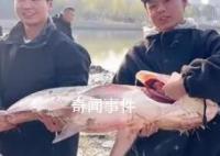 高校內湖撈3000斤魚直送食堂 湖南一高校請全校吃全魚宴